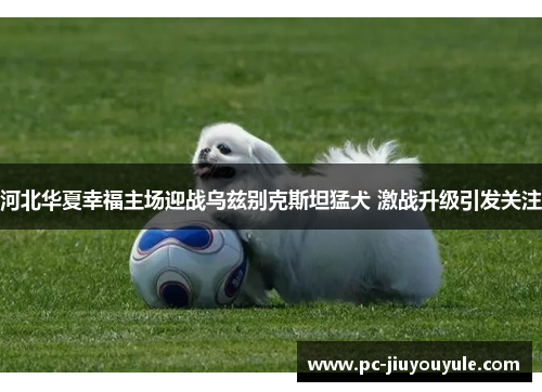 河北华夏幸福主场迎战乌兹别克斯坦猛犬 激战升级引发关注