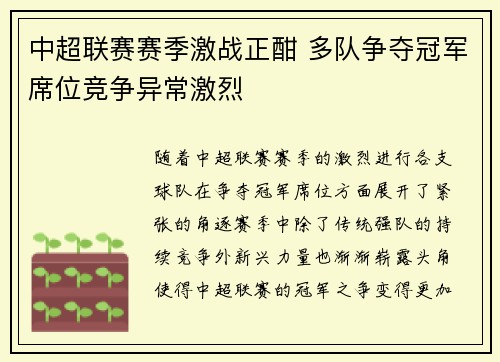 中超联赛赛季激战正酣 多队争夺冠军席位竞争异常激烈