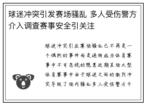 球迷冲突引发赛场骚乱 多人受伤警方介入调查赛事安全引关注
